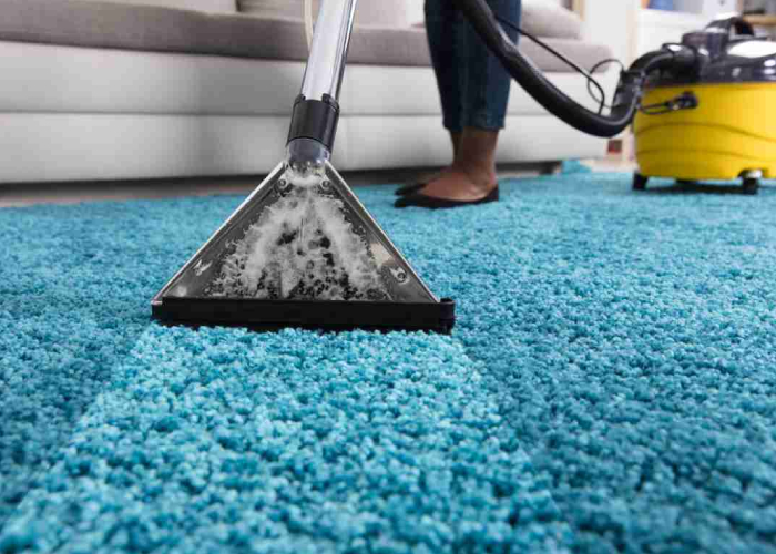 Expert Carpet Cleaning technician providing stain removal and sanitisation for residential and commercial flooring