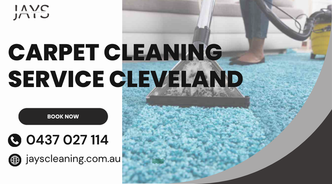 Why You Need More Than Just Vacuuming for Your Commercial Carpets